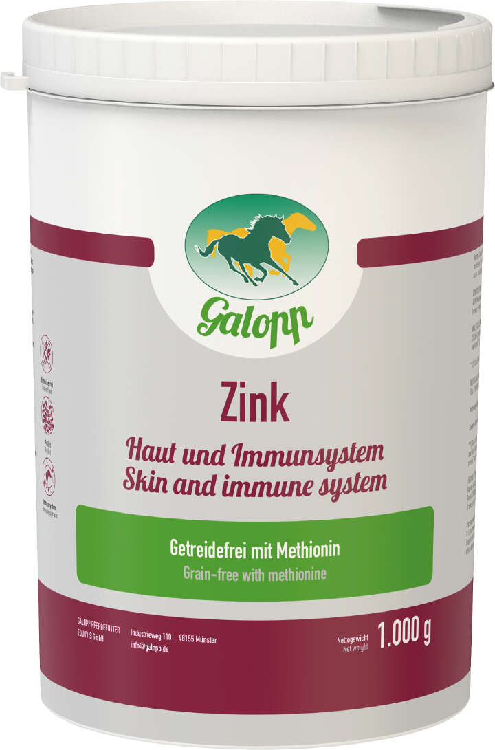 Galopp Zink